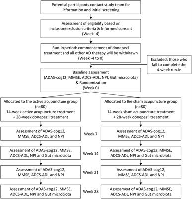 Efficacy of acupuncture in patients with mild Alzheimer’s disease and its impact on gut microbiota: Study protocol for a randomized sham-controlled trial